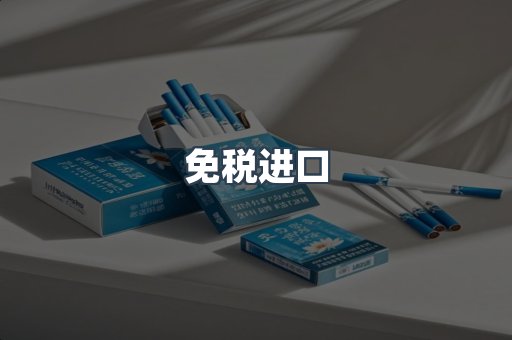 免税进口